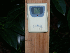 Auensensor